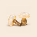 Lampe champignon led