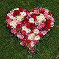 Coeur